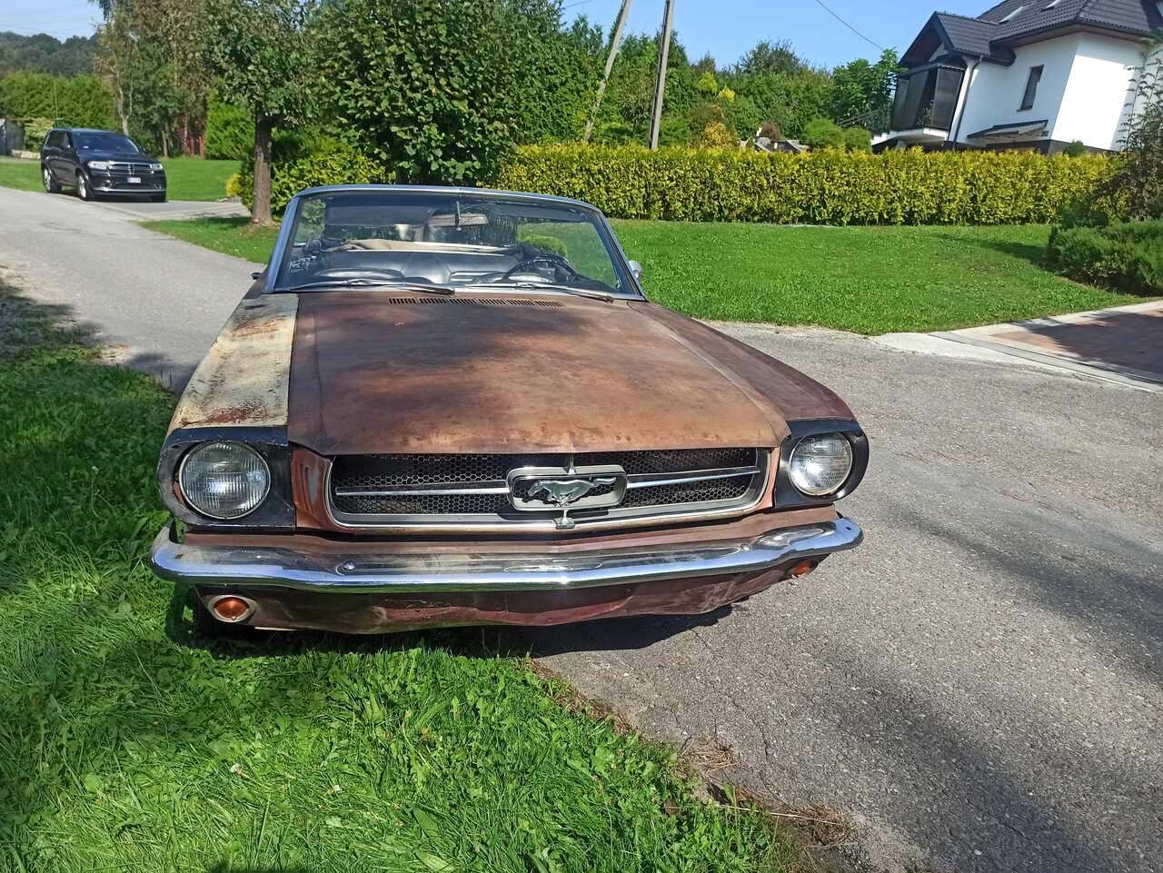 Ford Mustang CABRIO 65 