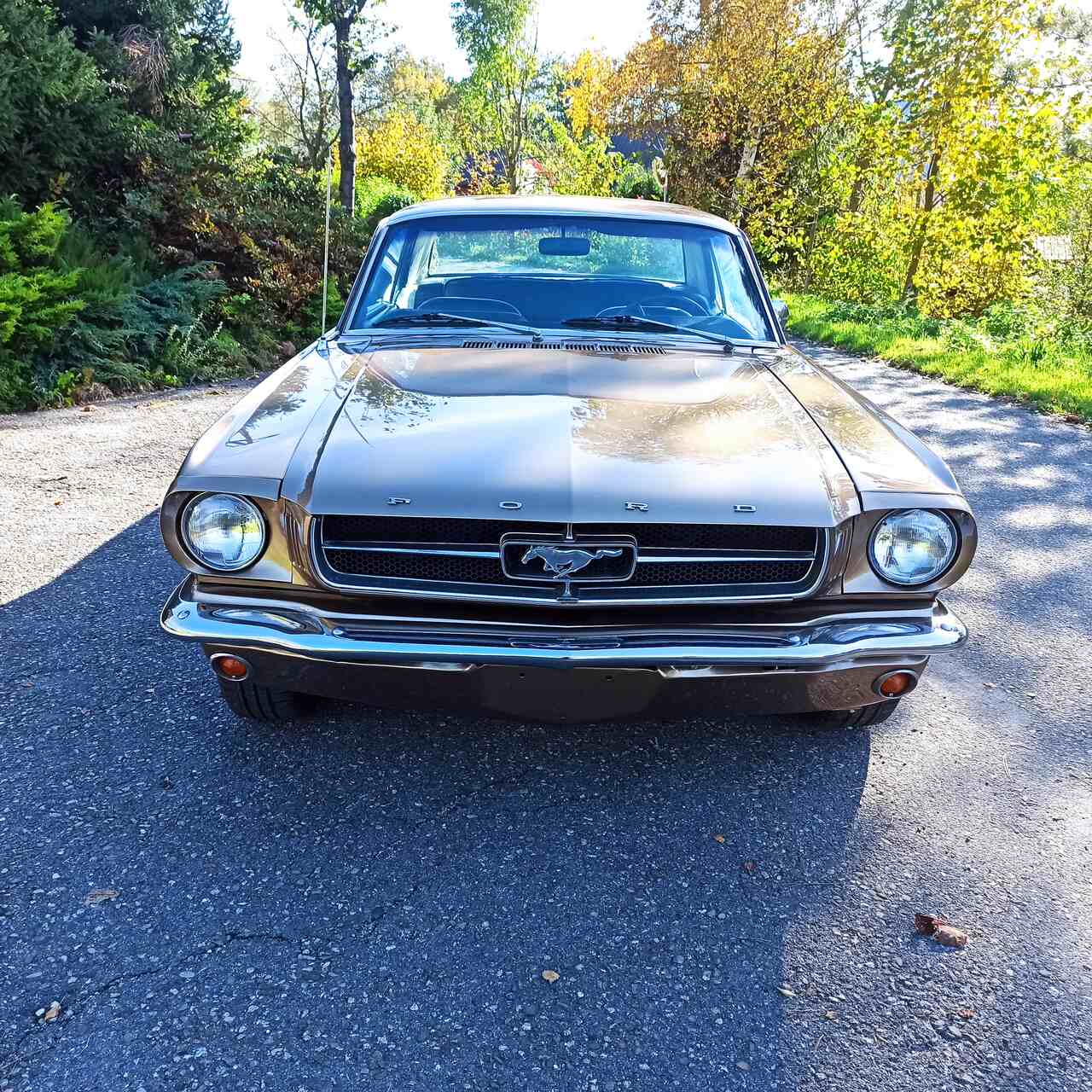 Ford Mustang 65 V8