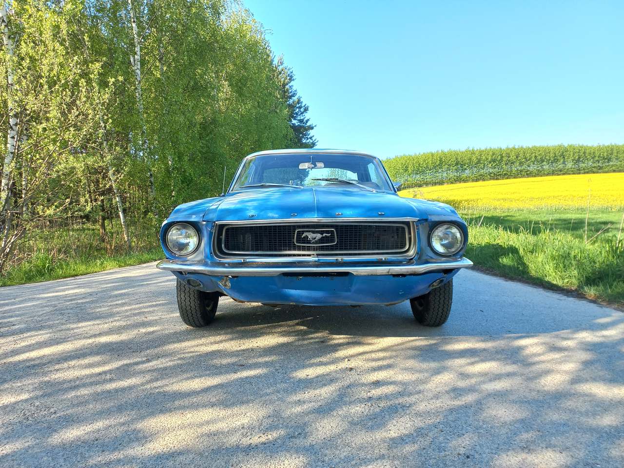 Ford MUSTANG