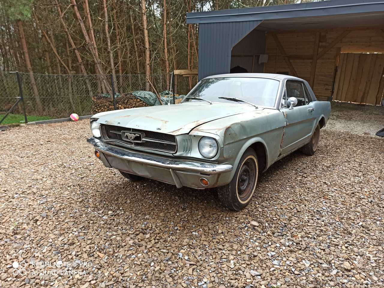 Ford Mustang 64/5