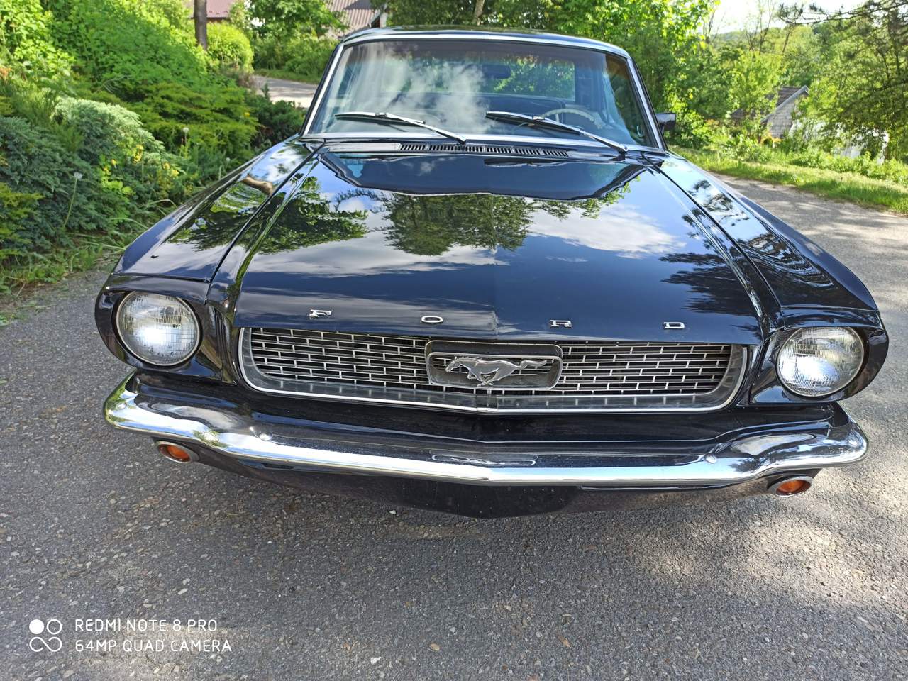Ford Mustang 66