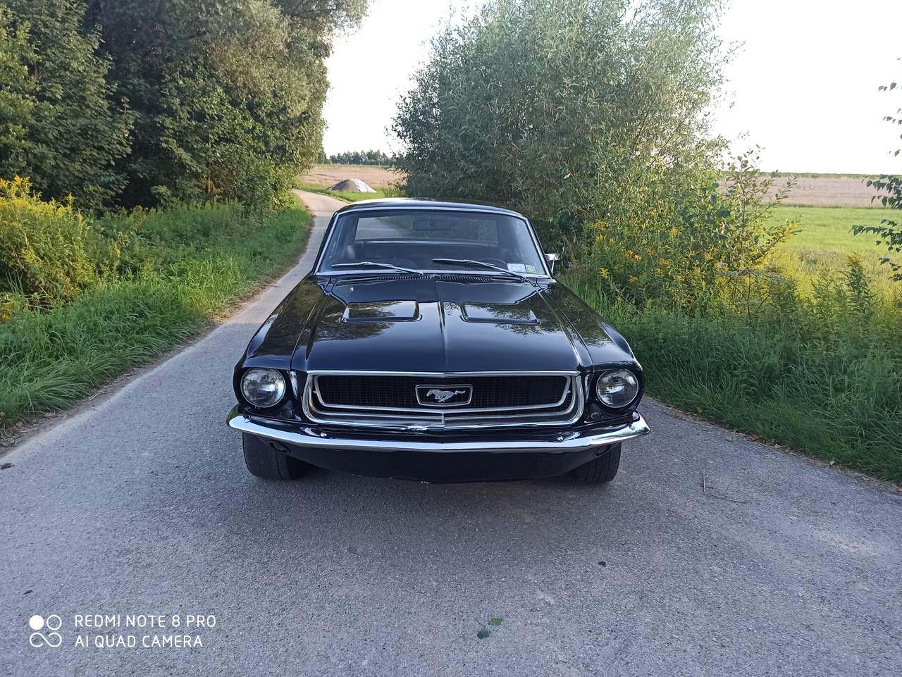 Ford Mustang 68 
