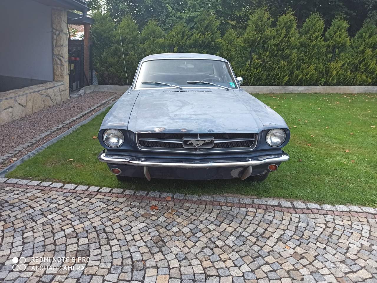 Ford mustang 65