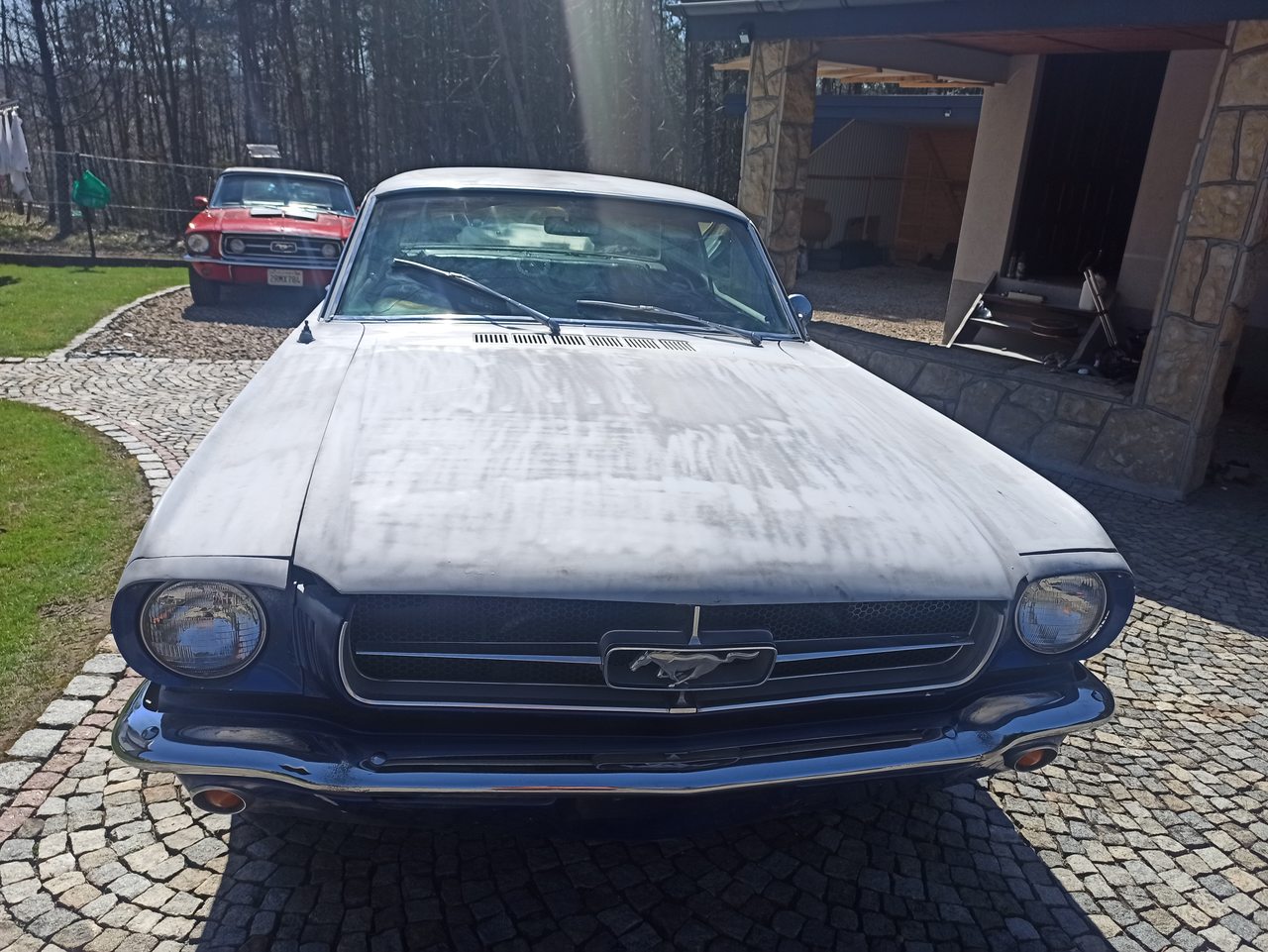 Ford Mustang 65