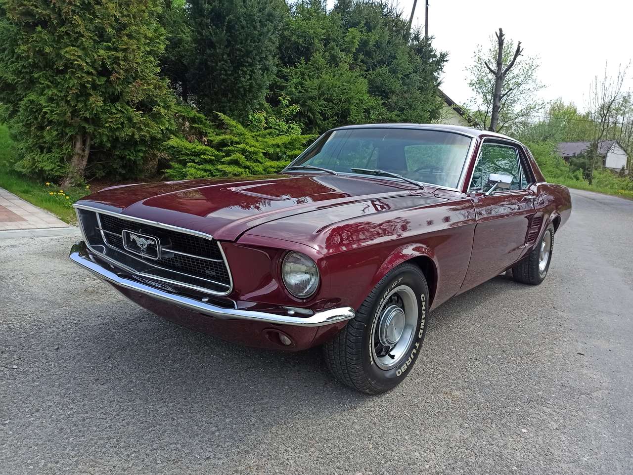 Ford Mustang 67 V8 
