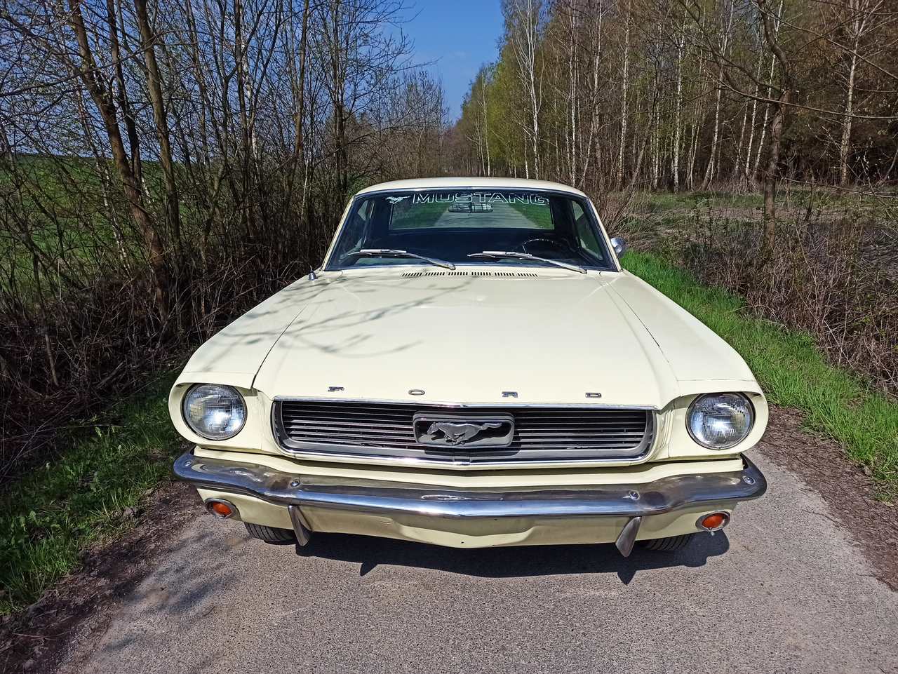 Ford MUSTANG